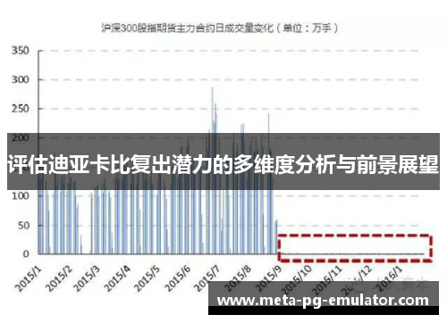 评估迪亚卡比复出潜力的多维度分析与前景展望