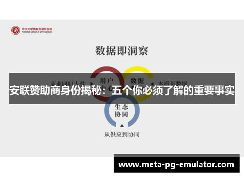 安联赞助商身份揭秘:五个你必须了解的重要事实 安联赞助商身份揭秘:五个你必须了解的重要事实