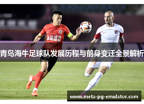 青岛海牛足球队发展历程与前身变迁全景解析