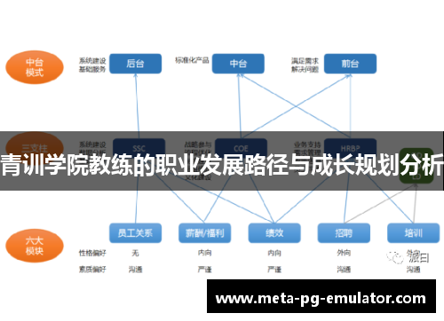 青训学院教练的职业发展路径与成长规划分析 青训学院教练的职业发展路径与成长规划分析