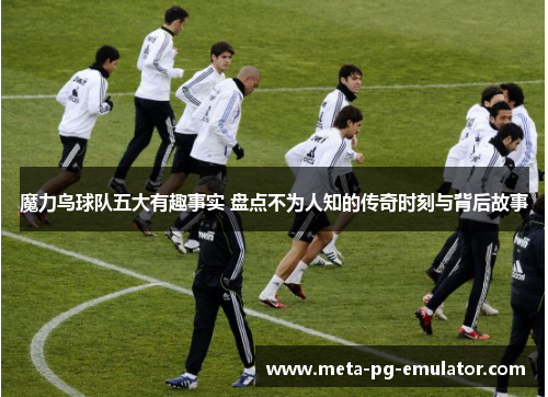 魔力鸟球队五大有趣事实 盘点不为人知的传奇时刻与背后故事